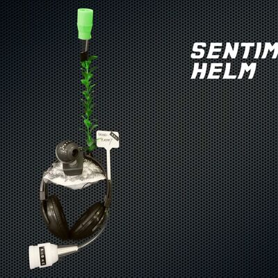 None_Sentiment-Helm_46998511904.jpg