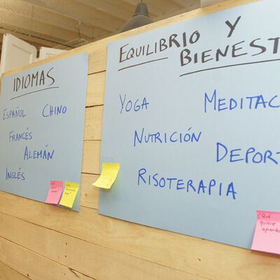 Ideas de conocimientos a ofrecer o demandar